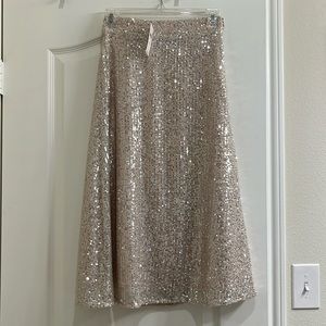 Anthropologie Skirt